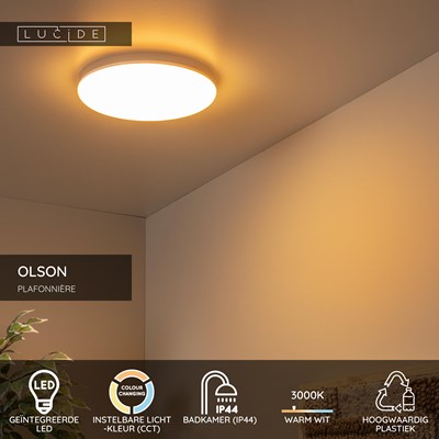 Lucide OLSON - Plafonnière Badkamer - Ø 29 cm - LED - CCT - 1x24W 3000K/6500K - IP44 - Opaal